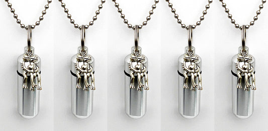 Set of 5 Happy Frogs w/Heart Cremation Urns on 24" Ball Chain Necklaces - Mourning Jewelry, Urn Keepsake, Ashes Necklace, Personalized Urn