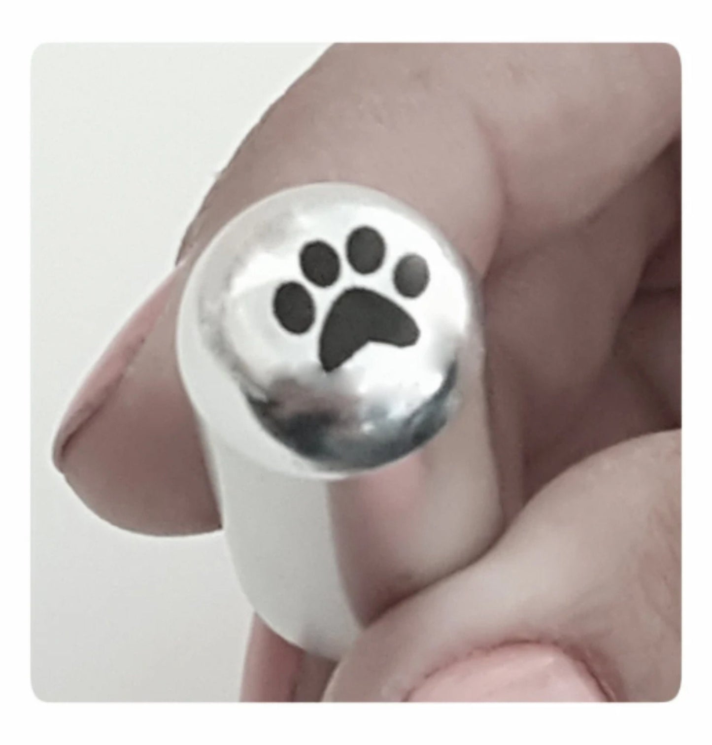 Set of 5 Brushed Silver DOG BONE Cremation Urn Necklaces w/Engraved PAWS - Pet Urn, Dog Urn, Memorial Keepsake, Urn Keepsake, Urn For Ashes