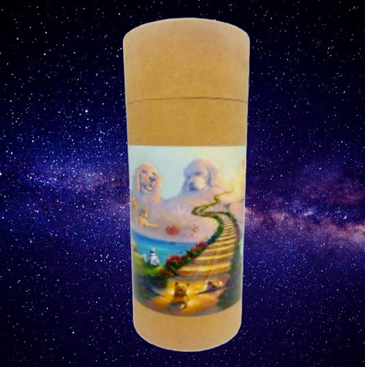 Rainbow Bridge Pet Ashes Tube: Biodegradable, TSA Friendly