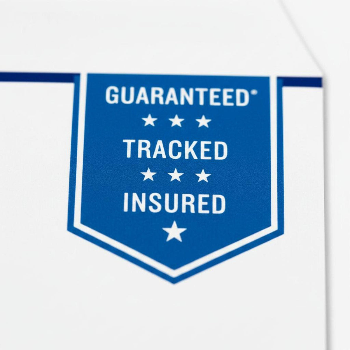 USPS Express Mail Add-On: Fast Shipping with Tracking