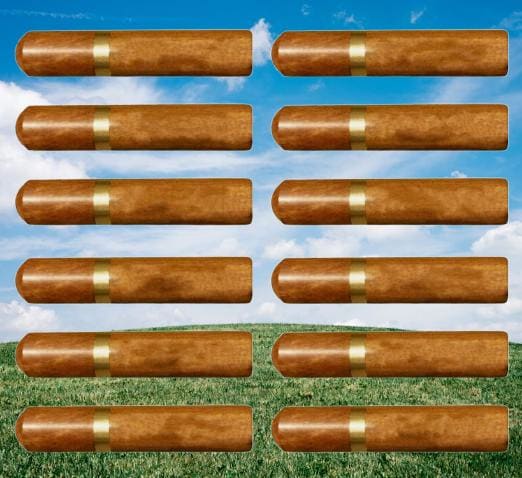 Twelve Natural Rosewood Cremation/Scattering Tubes - Fits in Pocket/Purse, TSA approved for travel - Engraving Optional