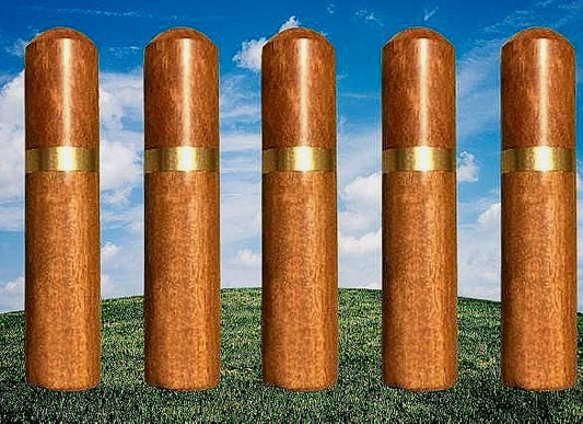 Set of Five Natural Polished Rosewood Cremation Urn / Scattering Tubes - Fits in Pocket/Purse, TSA Compliant, Very Secure